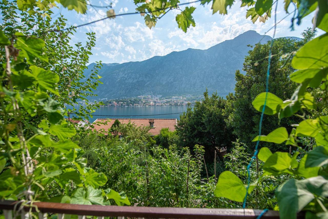 Barbara101 Apartamento Kotor Exterior foto